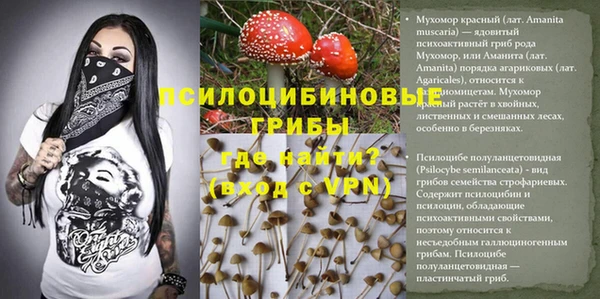 стаф Бугульма