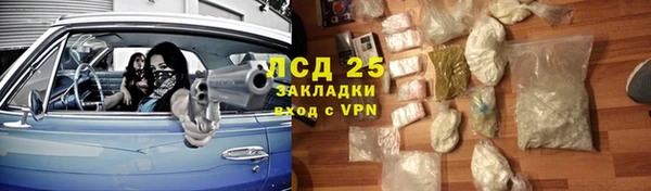 эйфоретик Бородино