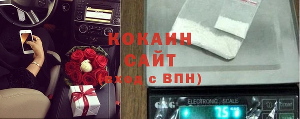 эйфоретик Бородино