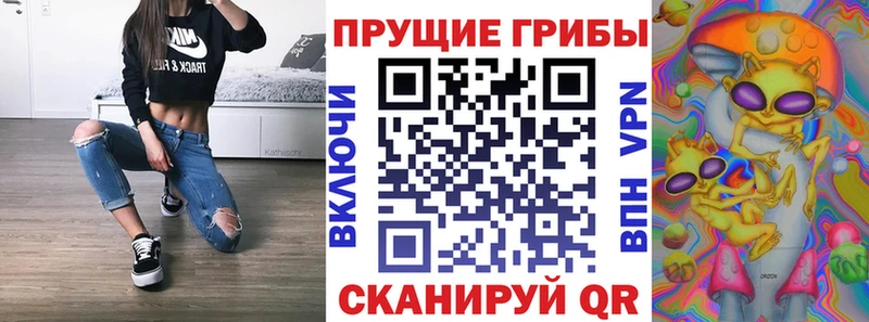 Псилоцибиновые грибы Cubensis  Лукоянов 